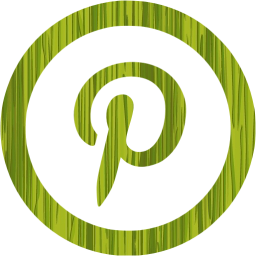 pinterest 5 icon