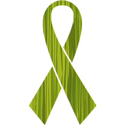 ribbon 8 icon