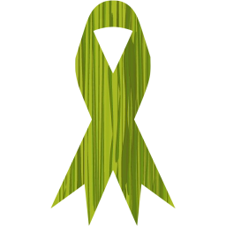 ribbon icon