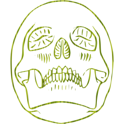 skull 29 icon