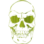 skull 41