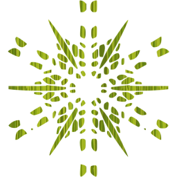 snowflake 19 icon