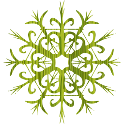 snowflake 28 icon