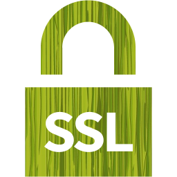 ssl badge 4 icon