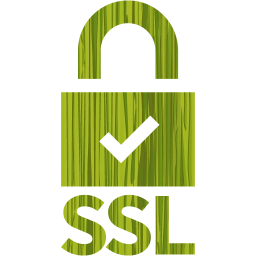 ssl badge 5 icon