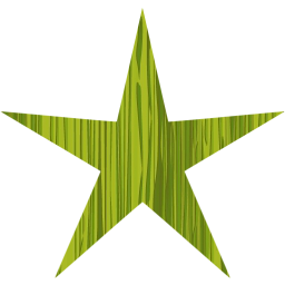 star 3 icon