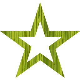 star 4 icon