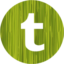 tumblr 4 icon