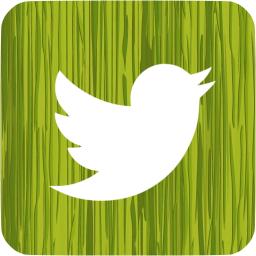 twitter 3 icon