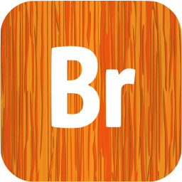 adobe br icon