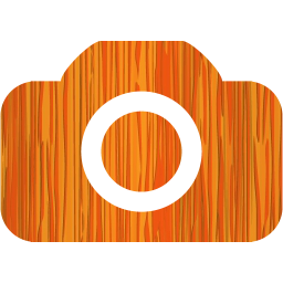 camera 4 icon