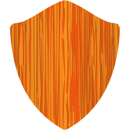 shield icon