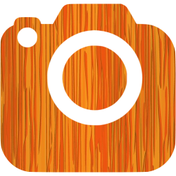 slr camera 2 icon