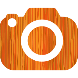 slr camera icon