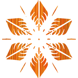 snowflake 5 icon