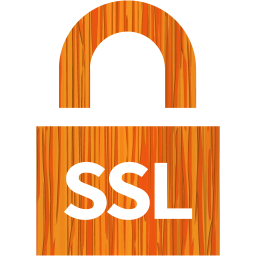 ssl badge 4 icon