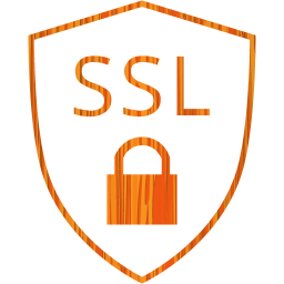 ssl badge icon