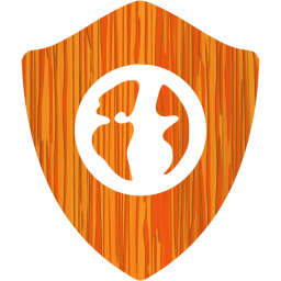 web shield icon