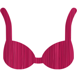 bra icon