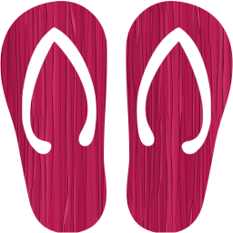 flip flop icon