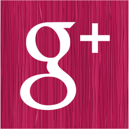 google plus 2 icon