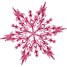 snowflake 41 icon