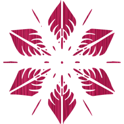 snowflake 5 icon