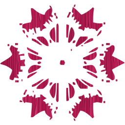 snowflake icon