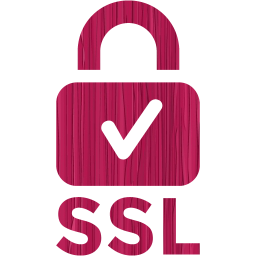 ssl badge 2 icon