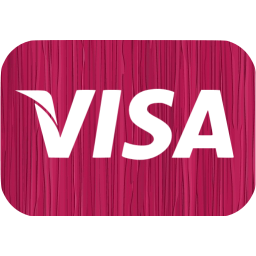 visa icon