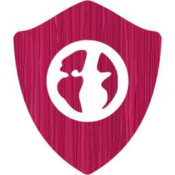 web shield icon