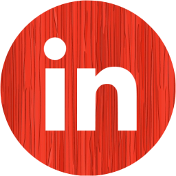 linkedin 4 icon