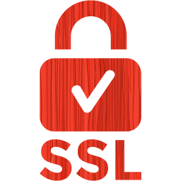 ssl badge 2 icon