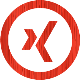 xing 5 icon