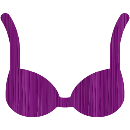 bra icon