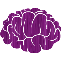 brain 2 icon