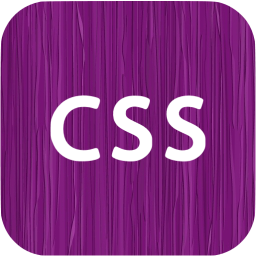 css icon