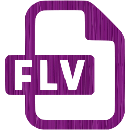 flv icon