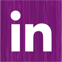 linkedin 2 icon