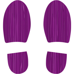 shoes footprints icon