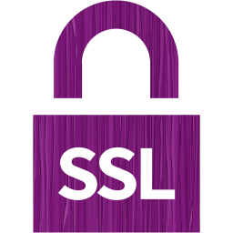 ssl badge 4 icon