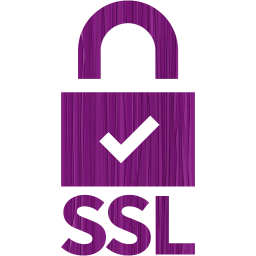 ssl badge 5 icon