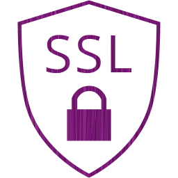 ssl badge icon