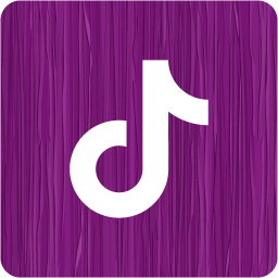 tiktok 2 icon