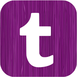 tumblr 6 icon