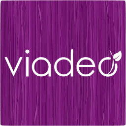 viadeo 4 icon