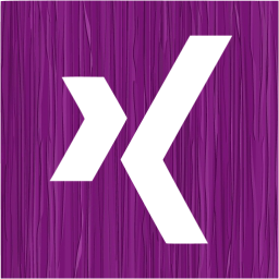 xing 2 icon