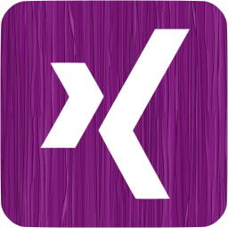 xing 3 icon