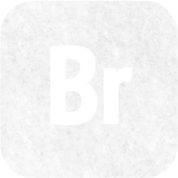 adobe br icon