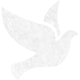 bird 2 icon